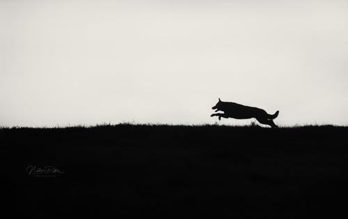 DSC_2126-Minimal-L