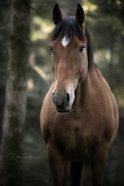 DSC_8170-L